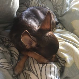 Meet your Posher, Katherine